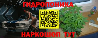 дживик Кингисепп