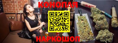 дживик Кингисепп