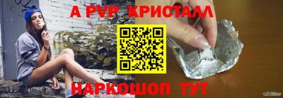 дживик Кингисепп