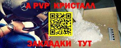 дживик Кингисепп