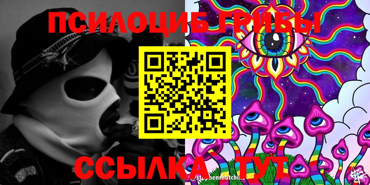 Псилоцибиновые грибы Psilocybine cubensis Красноуфимск