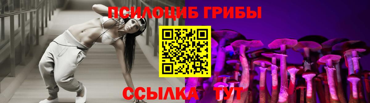Псилоцибиновые грибы Cubensis  Вход с VPN  Красноуфимск 